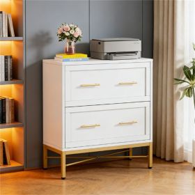 Double drawer filming cabinet, storage cabinet, printer stand essential for office use